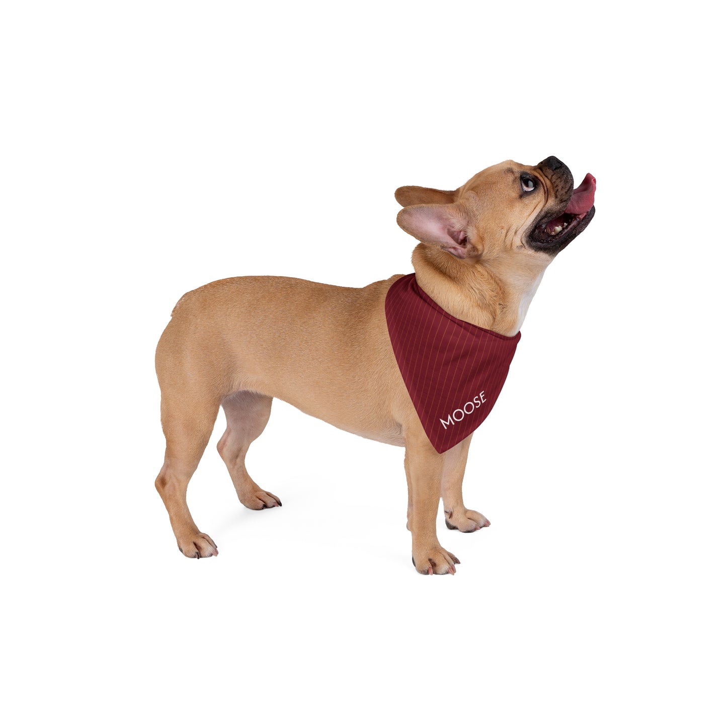 Pet Bandana- Personalized | Red & Yellow | Pinstripe