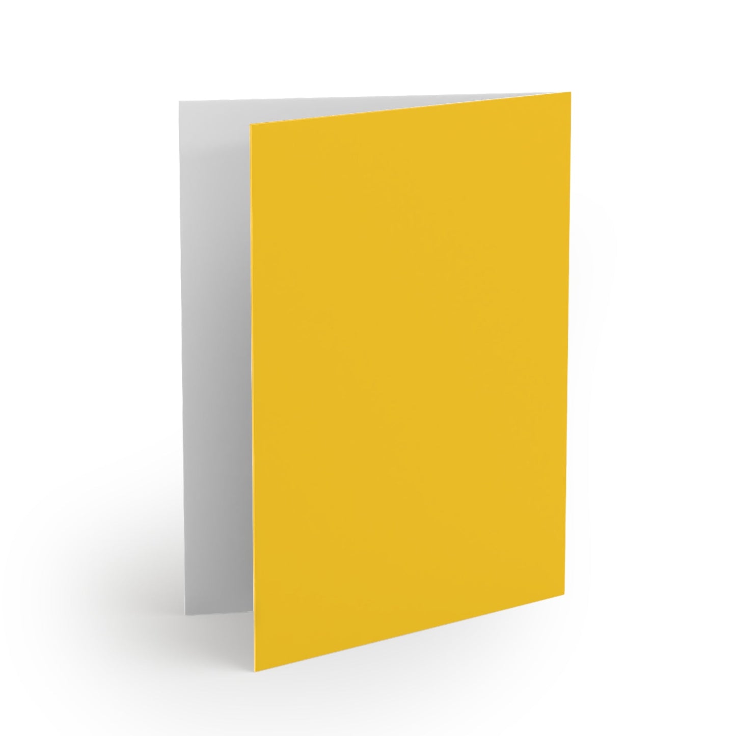 Notecards | Yellow & Blue | Light