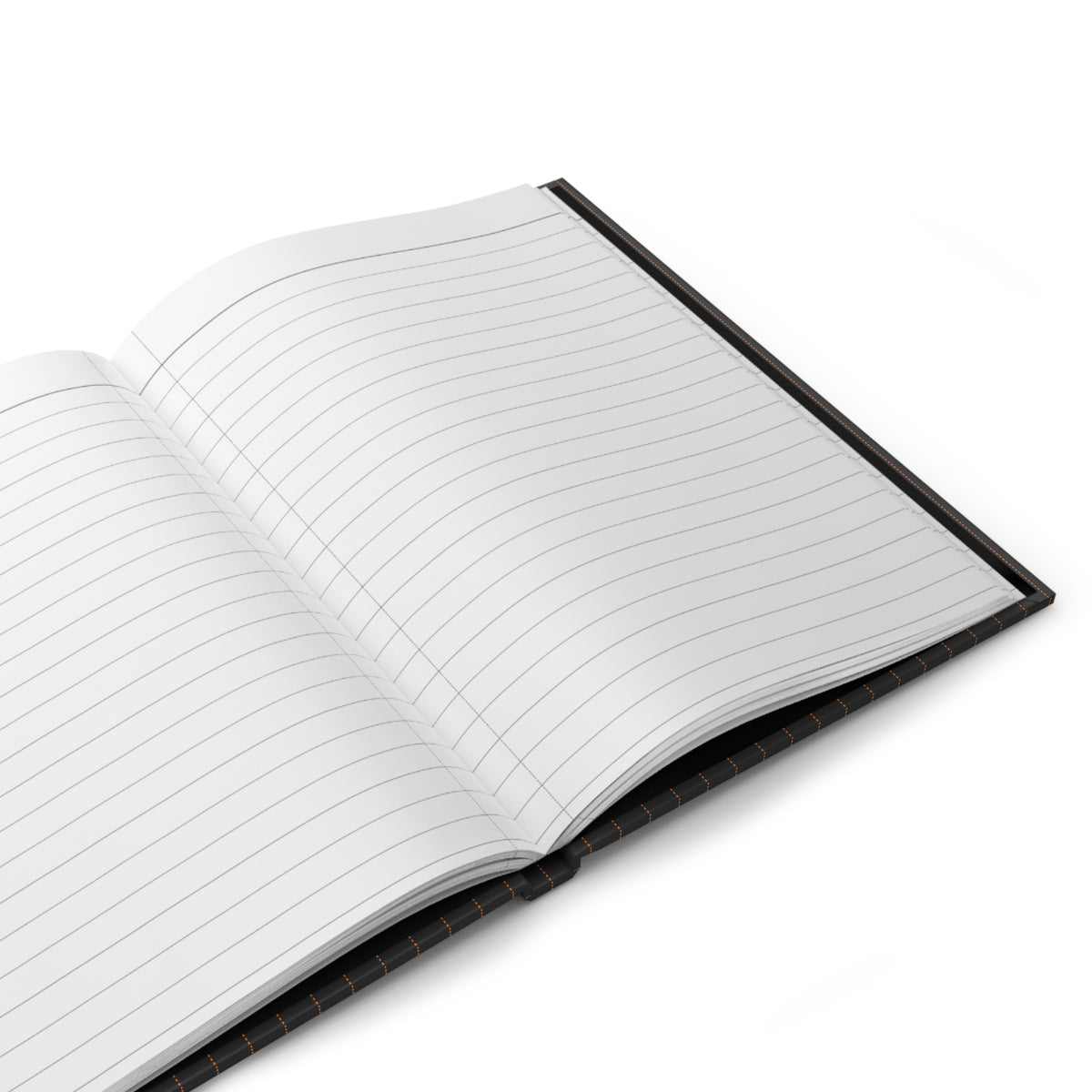 Journal | Princeton, New Jersey | Pinstripe