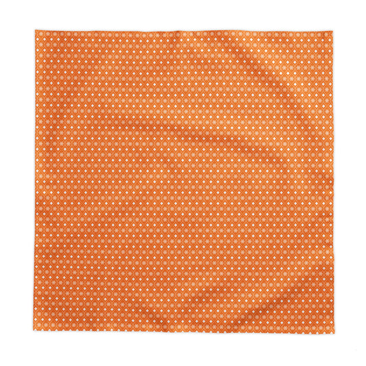 Tablecloth | Knoxville, Tennessee | Snow