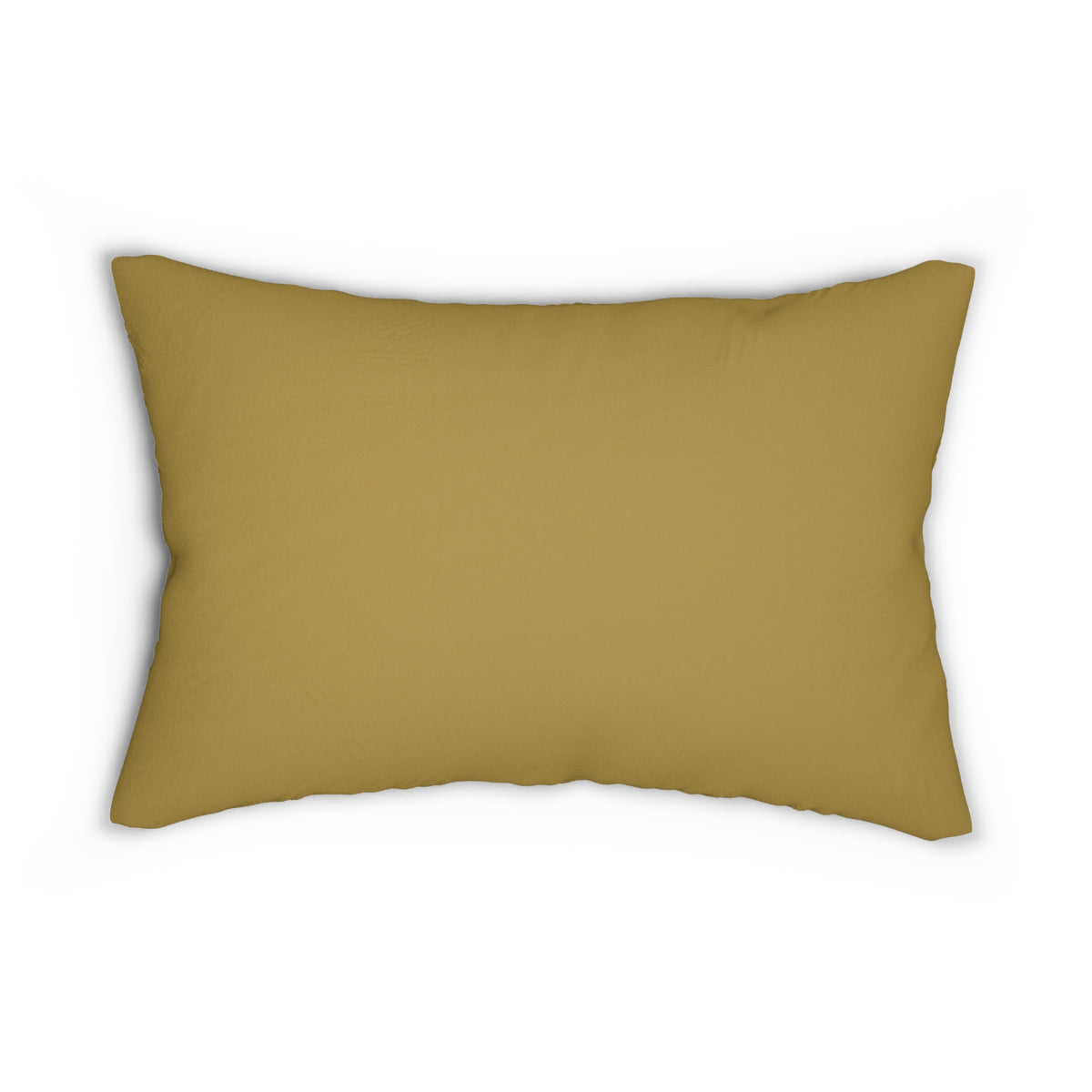 Pillow | Notre Dame, Indiana | Light