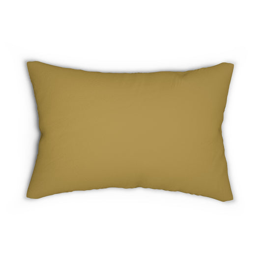 Pillow | Notre Dame, Indiana | Light