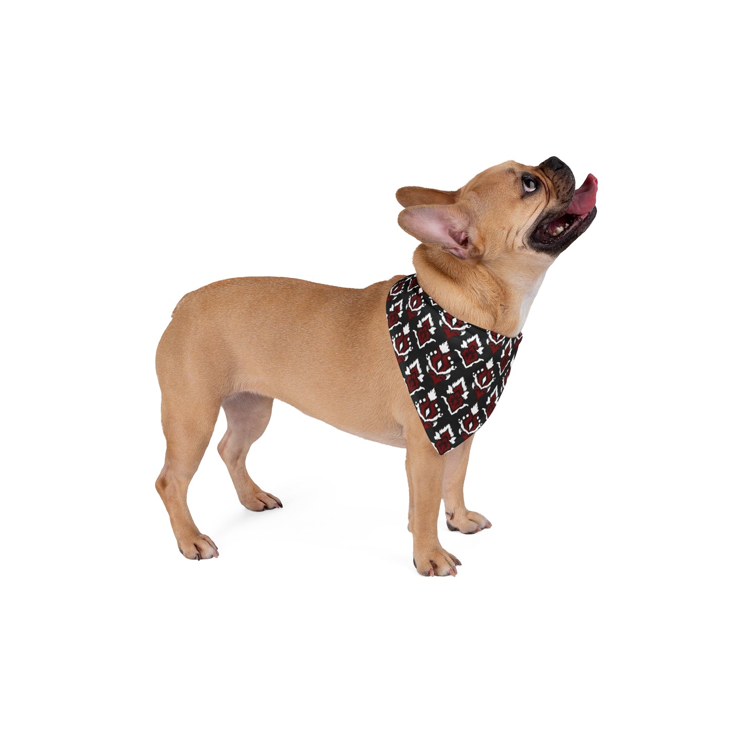 Pet Bandana | Columbia, South Carolina | Ikat