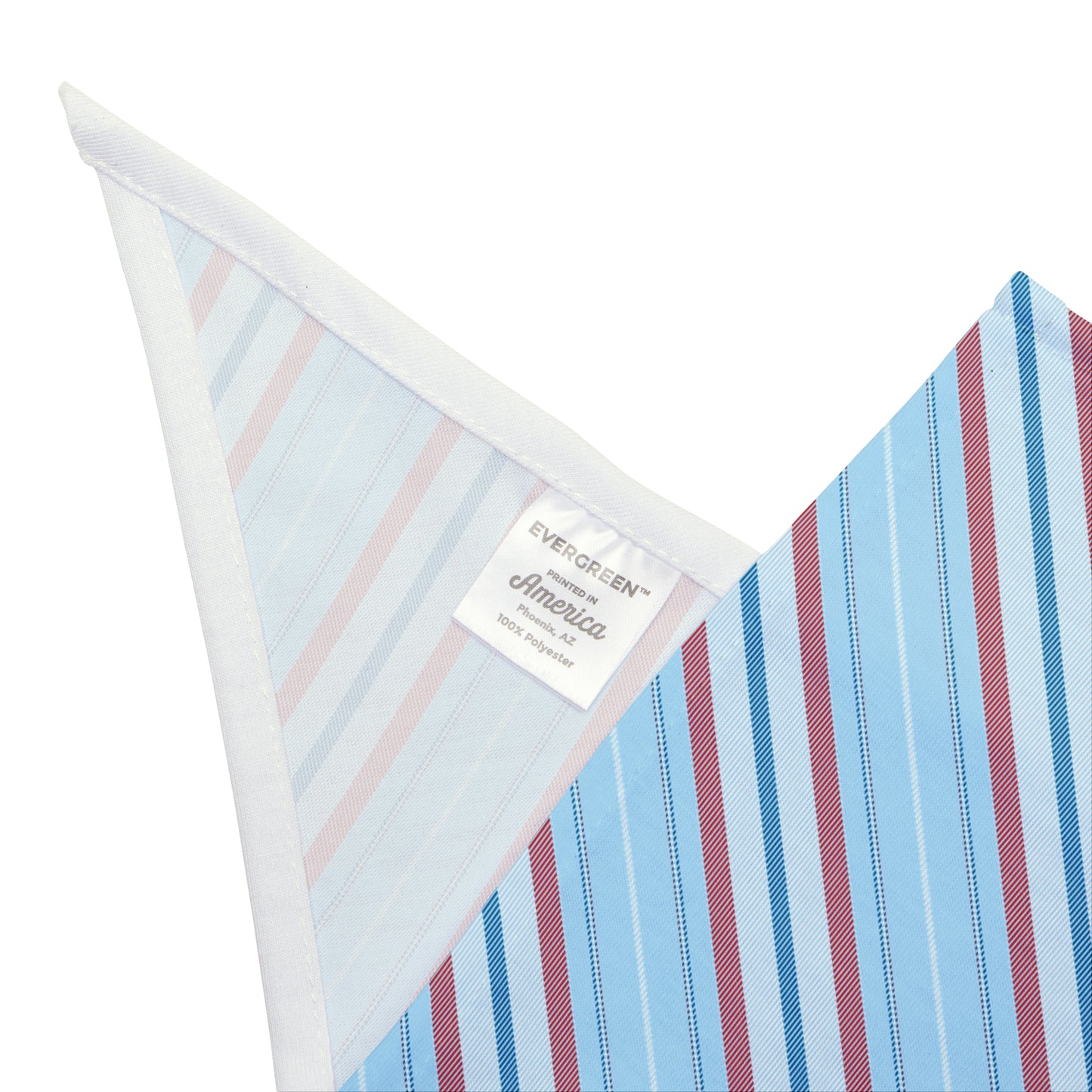 Pet Bandana | Oxford, Mississippi | Stripe