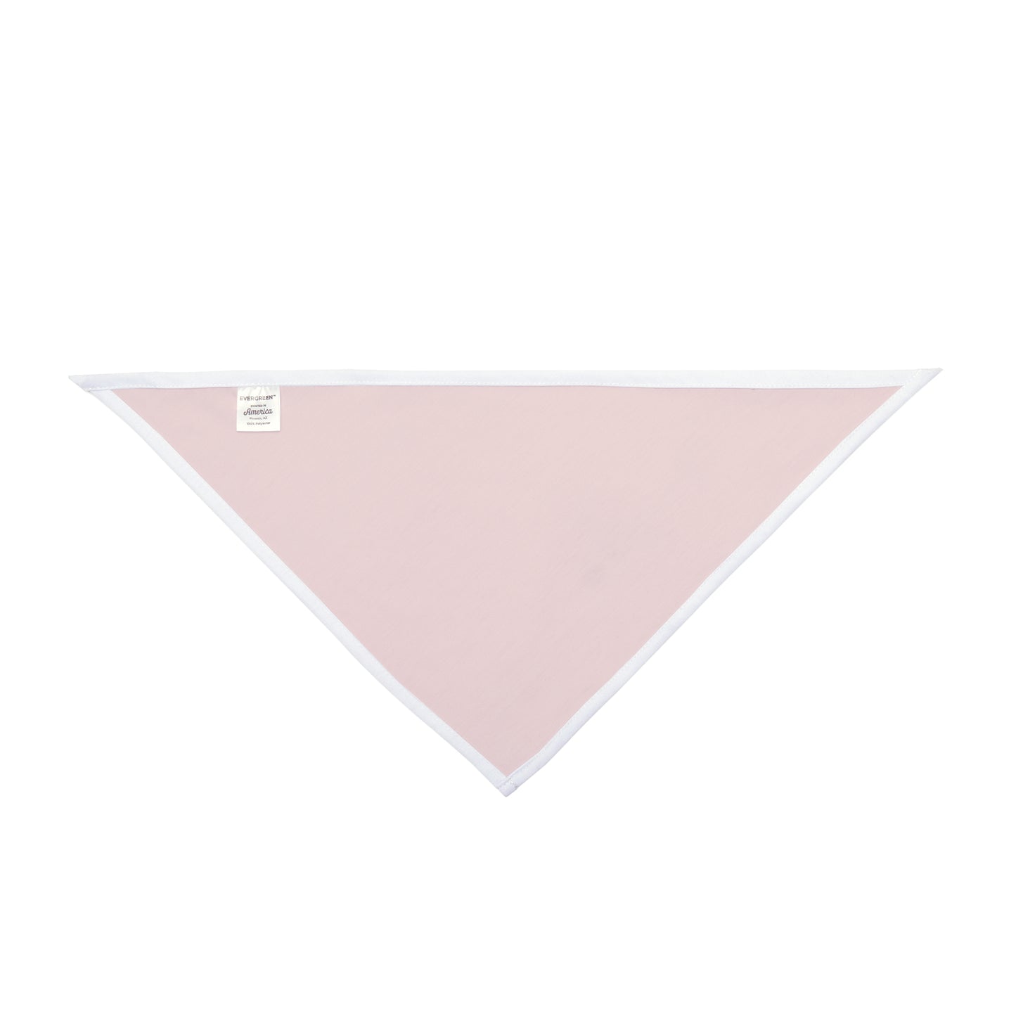 Pet Bandana | Madison, Wisconsin | Dark