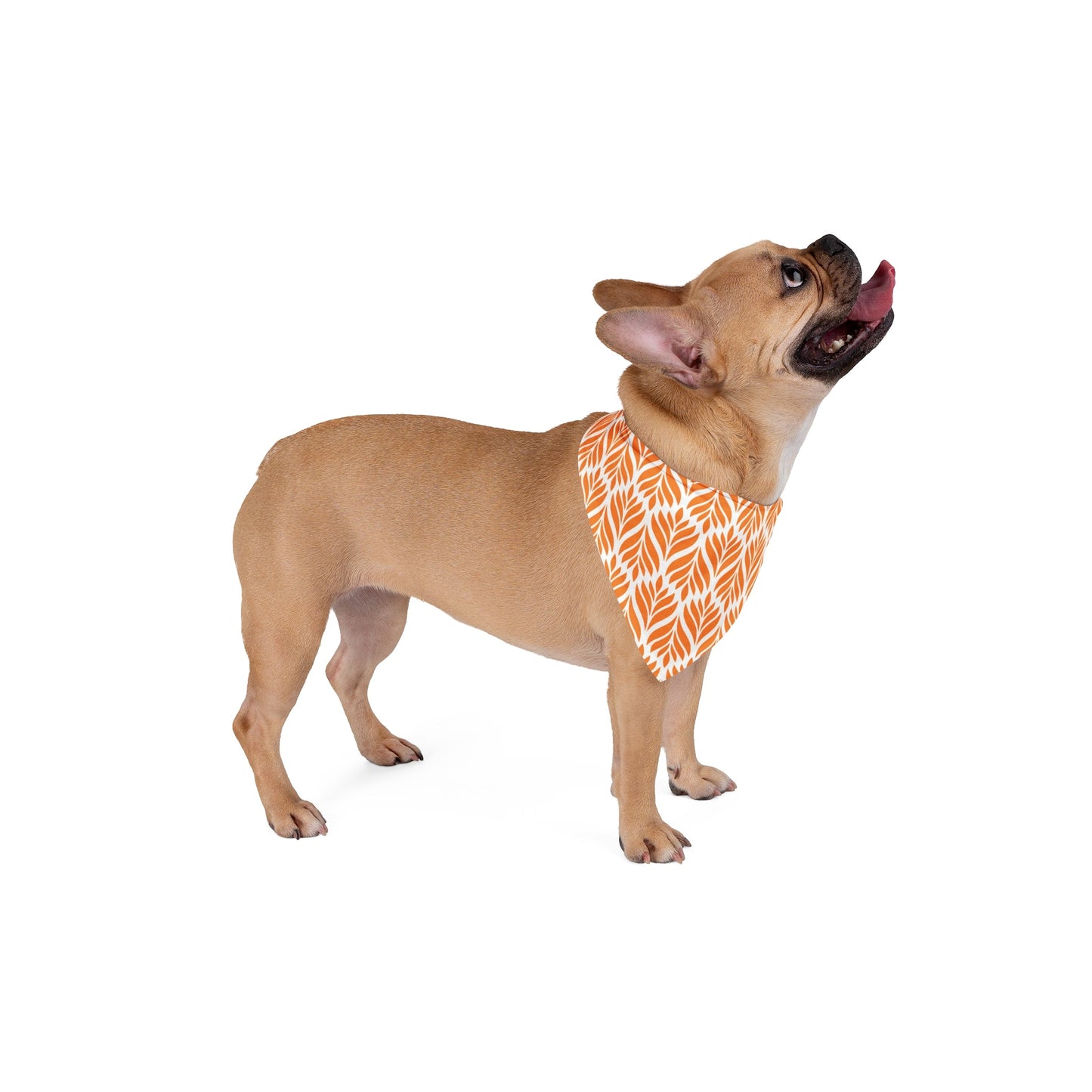 Pet Bandana | Orange & White | Palm