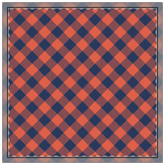 Napkin 4-set | Charlottesville, Virginia | Gingham