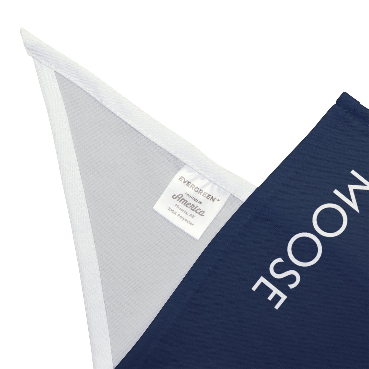 Pet Bandana- Personalized | Charlottesville, Virginia | Dark