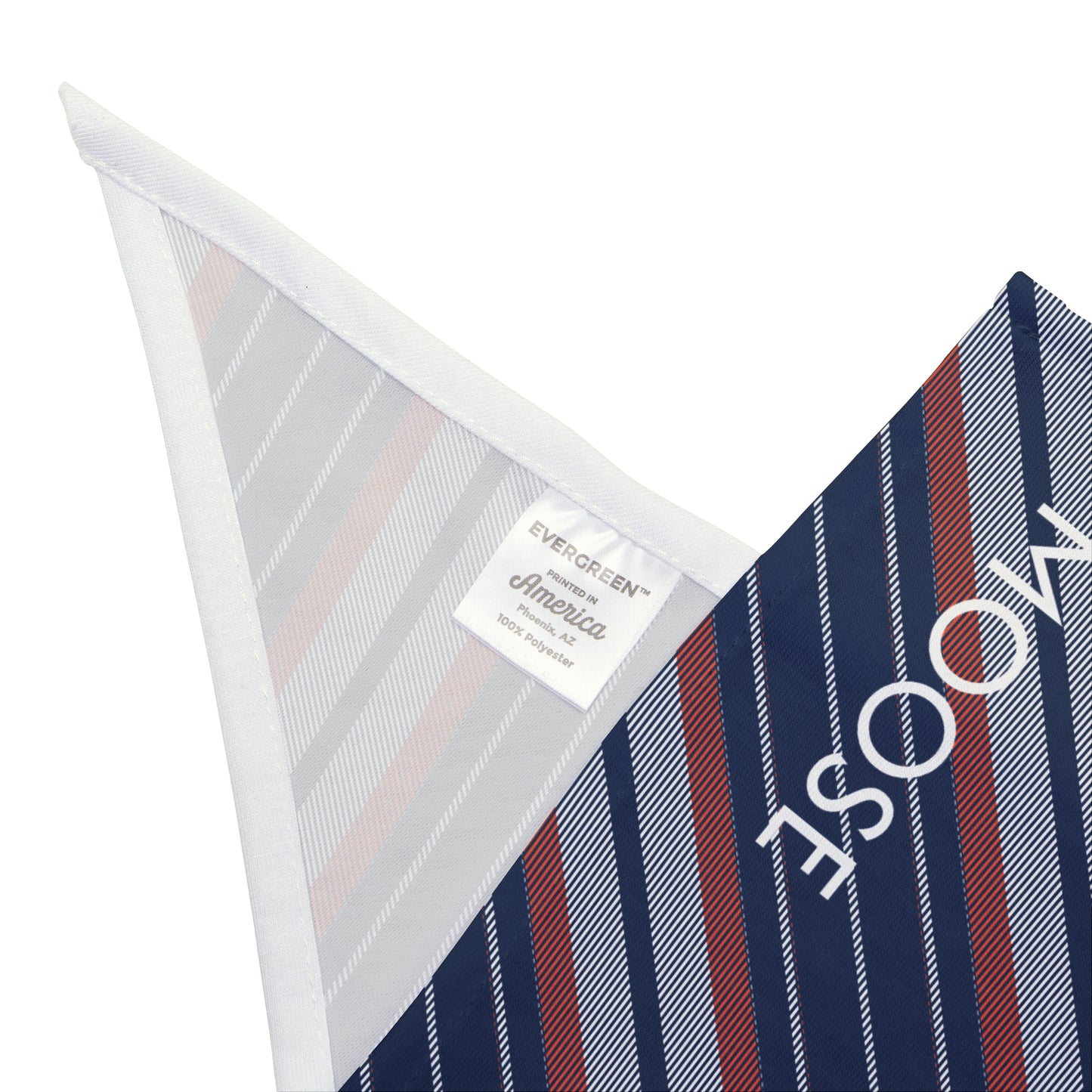 Pet Bandana- Personalized | Charlottesville, Virginia | Stripe