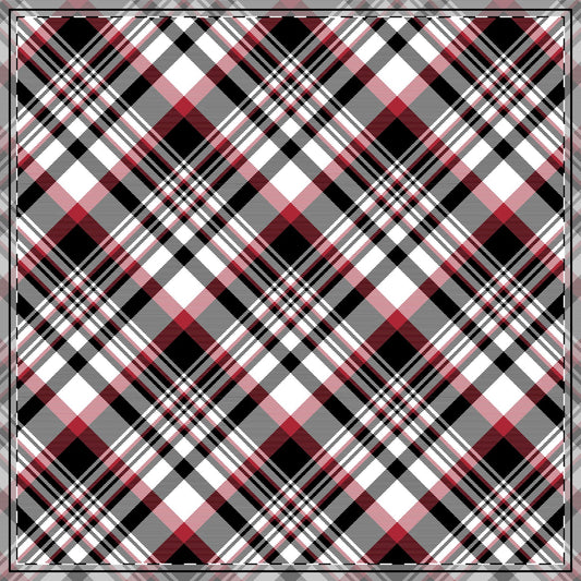 Tablecloth | Athens, Georgia | Tartan