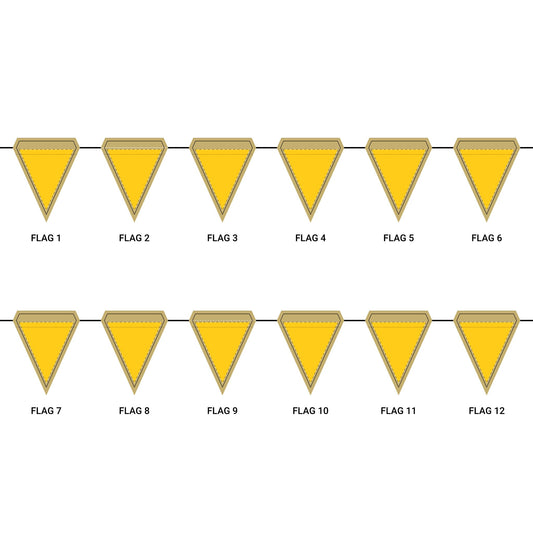 Flag Garland | Ann Arbor, Michigan | Light