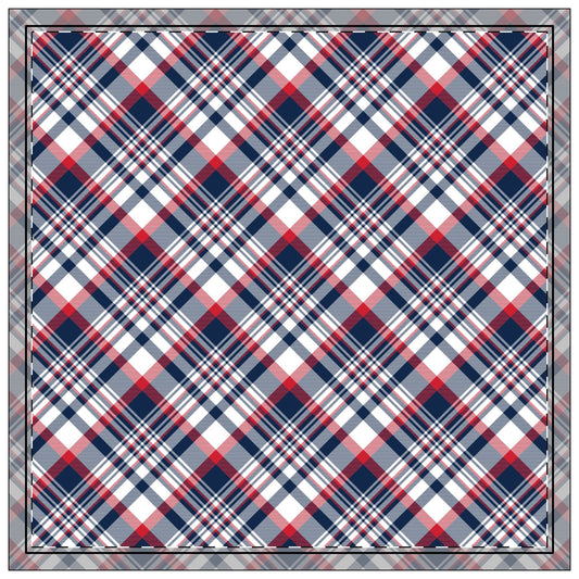 Napkins | Oxford, Mississippi | Tartan