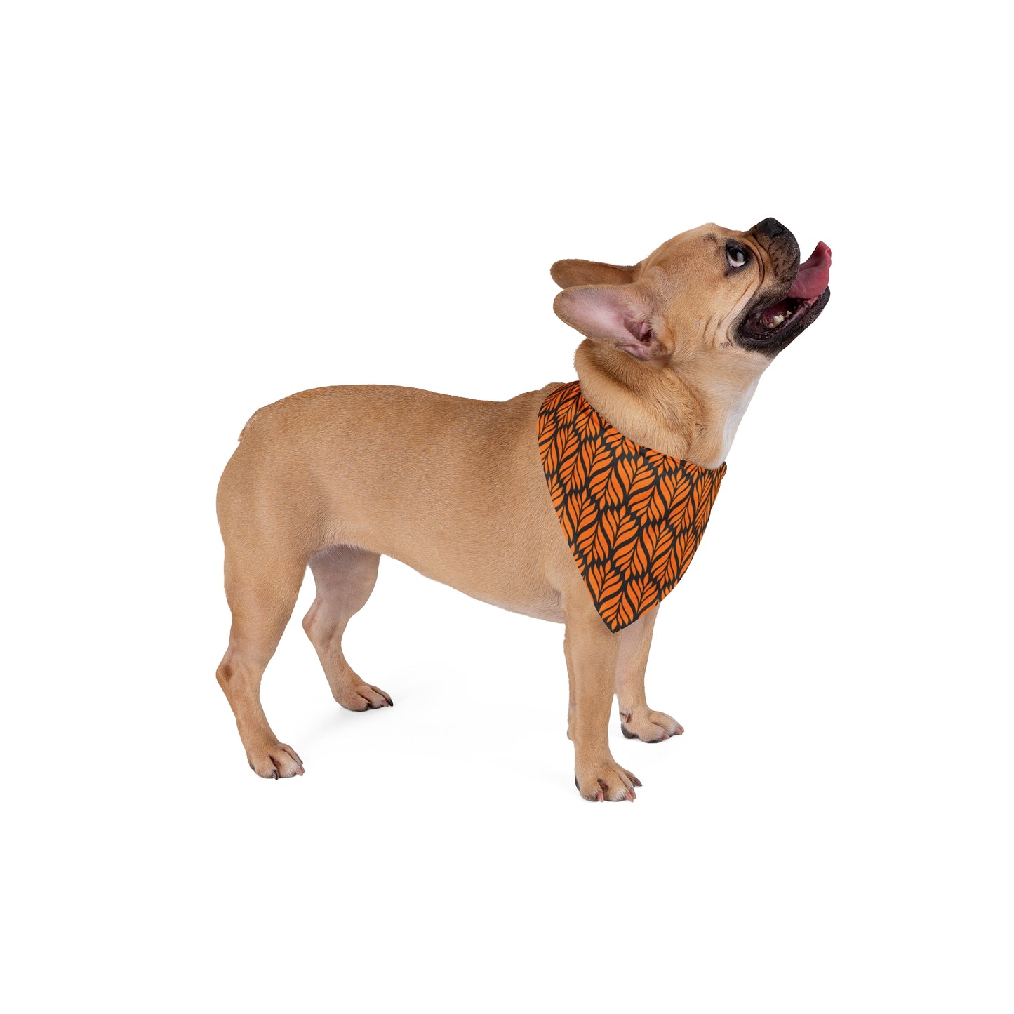 Pet Bandana | Princeton, New Jersey | Palm