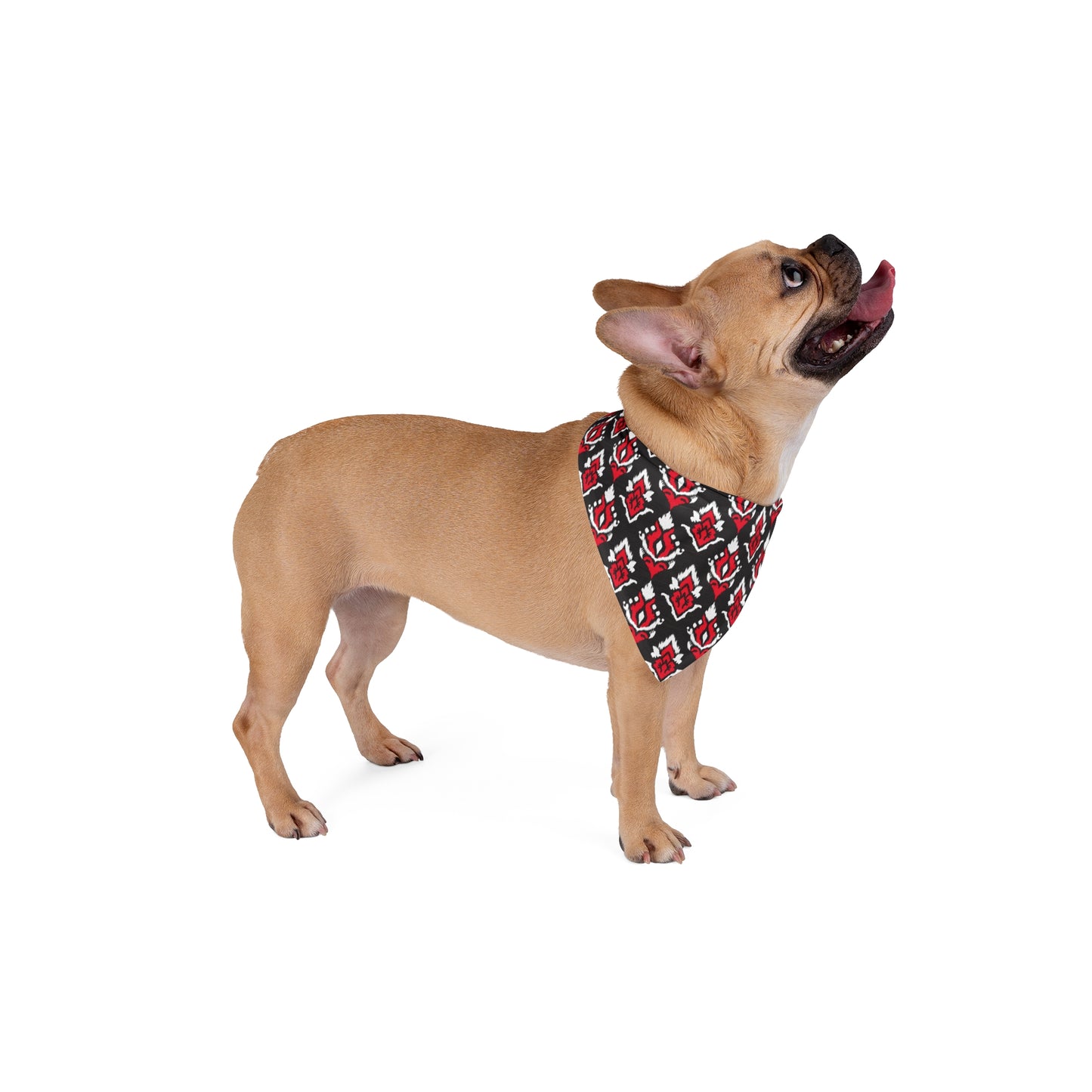 Pet Bandana | Raleigh, North Carolina | Ikat