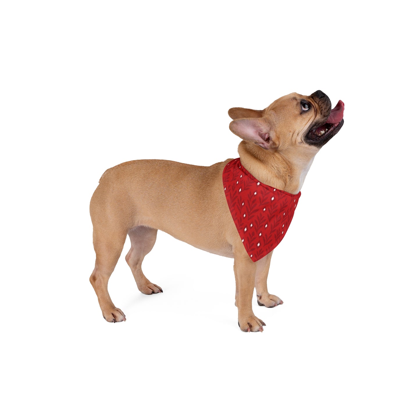Pet Bandana | Madison, Wisconsin | Laurel