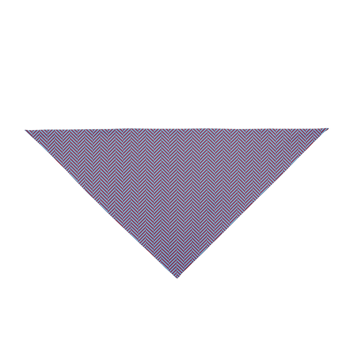 Pet Bandana | Oxford, Mississippi | Herringbone