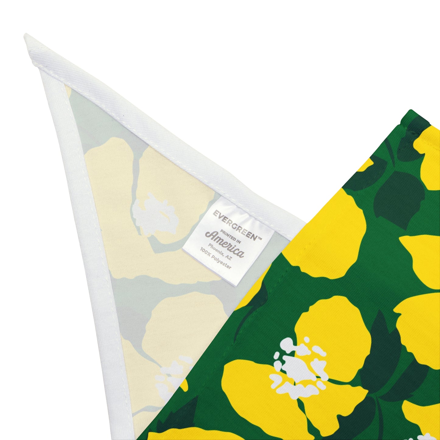 Pet Bandana | Eugene, Oregon | Poppy