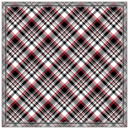 Napkin 4-set | Athens, Georgia | Tartan