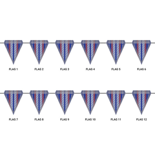 Flag Garland | Gainesville, Florida | Stripe