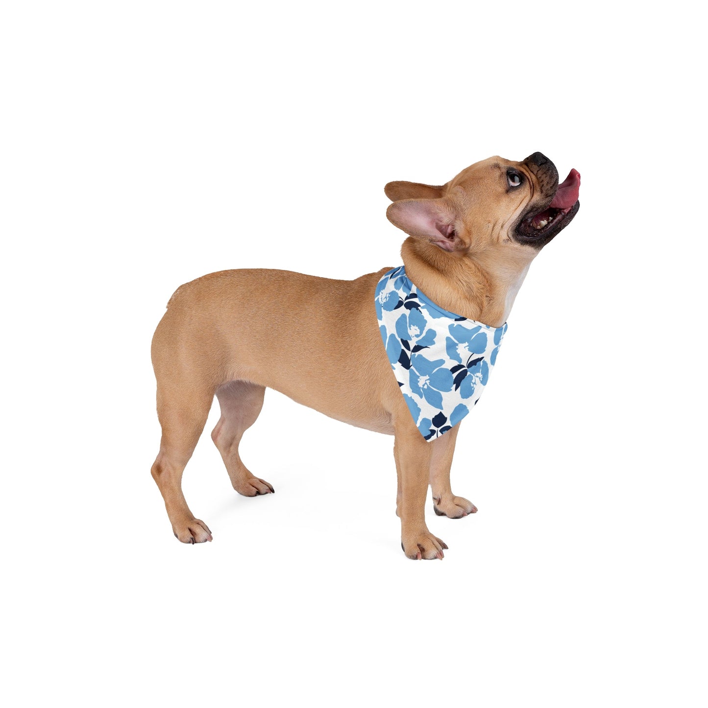 Pet Bandana | Light Blue & White | Poppy