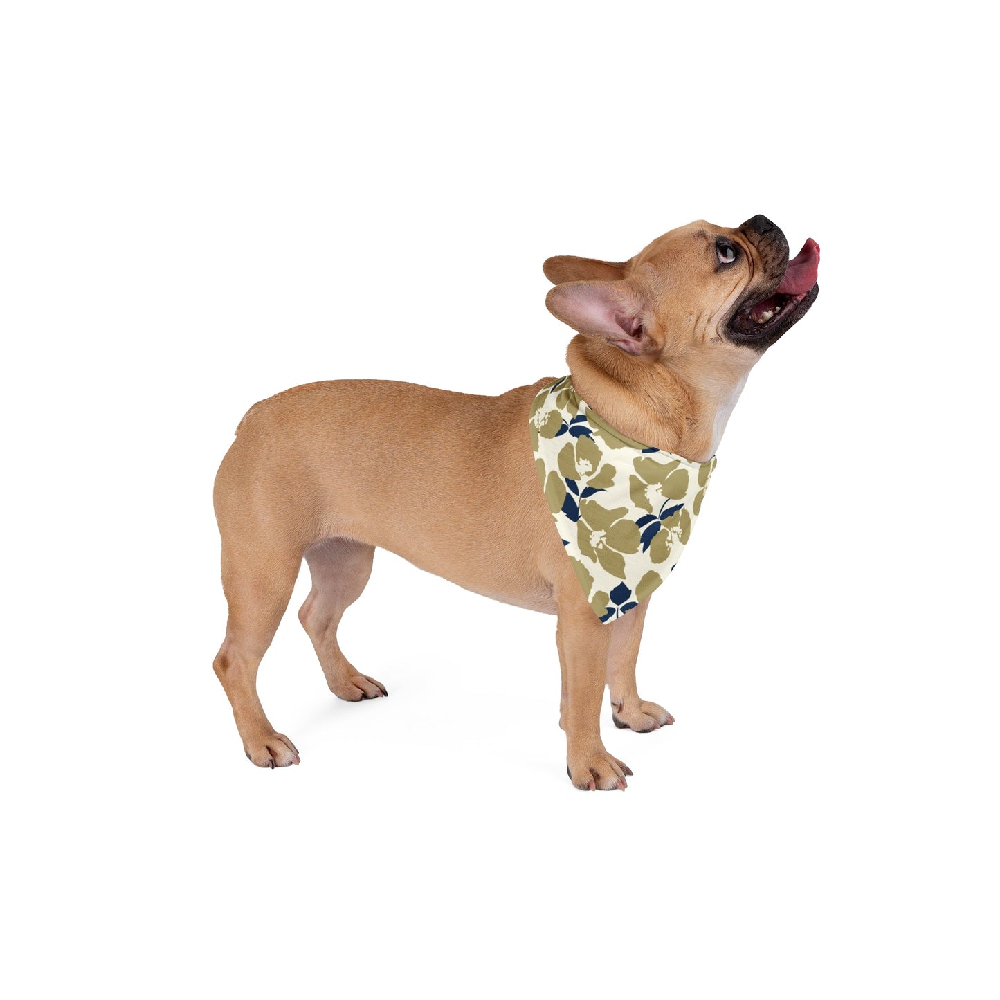 Pet Bandana | Blue & Gold | Poppy