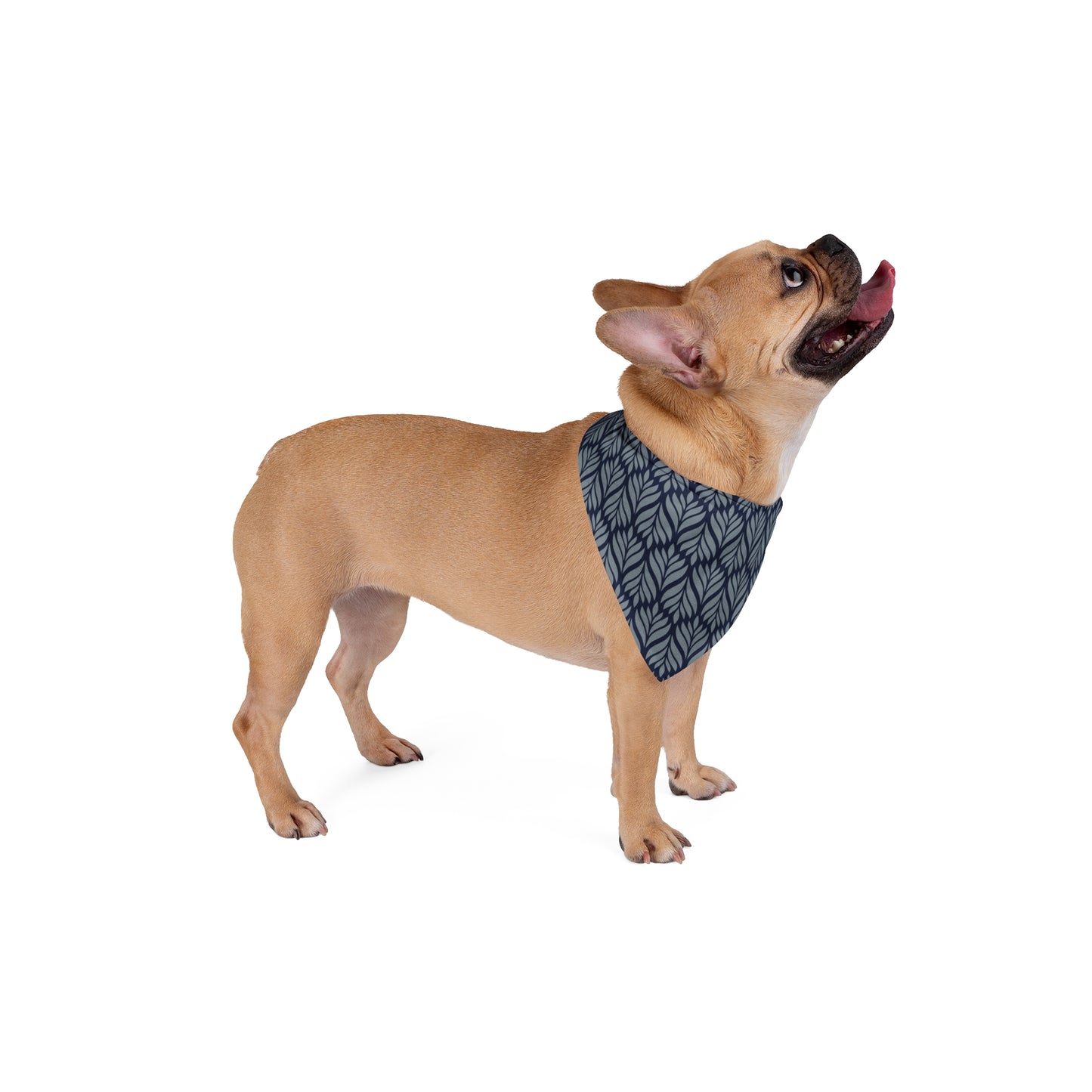 Pet Bandana | Storrs, Connecticut | Palm