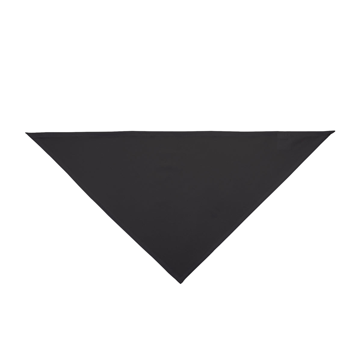 Pet Bandana | Princeton, New Jersey | Dark