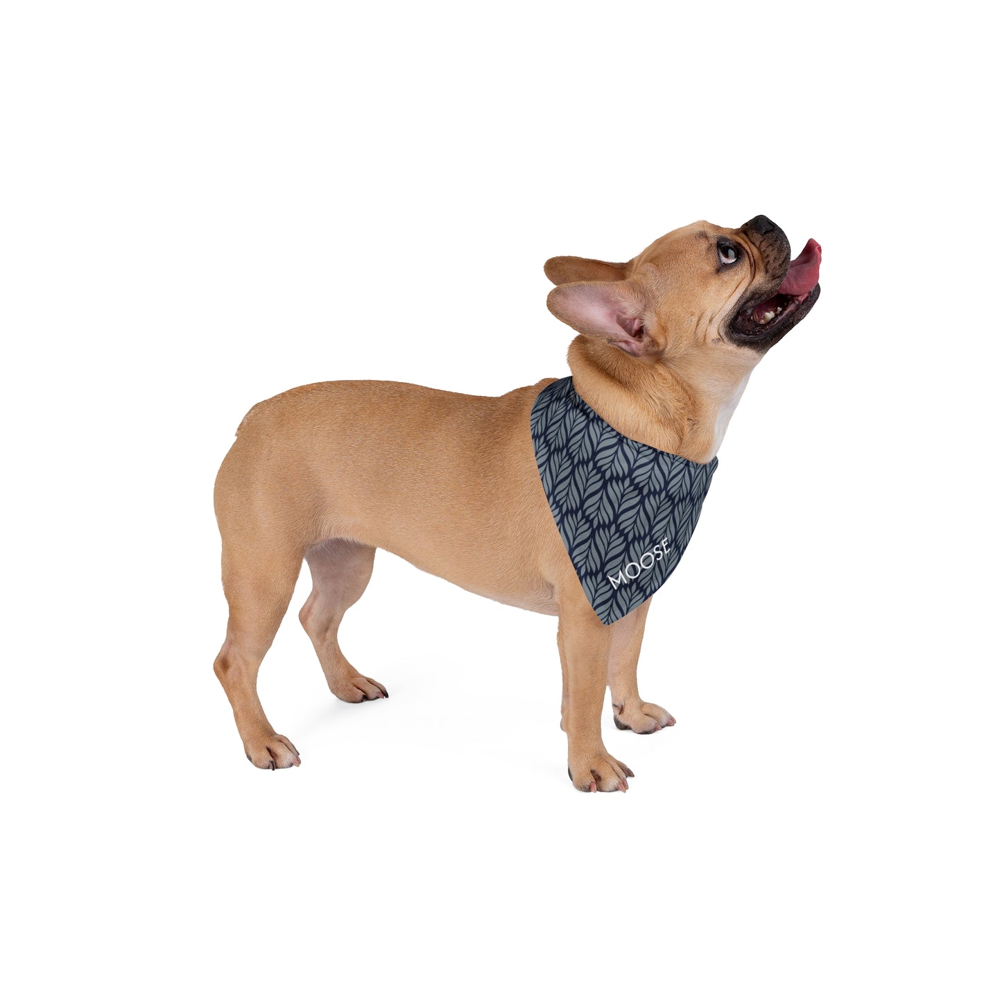 Pet Bandana- Personalized | Navy & White | Palm