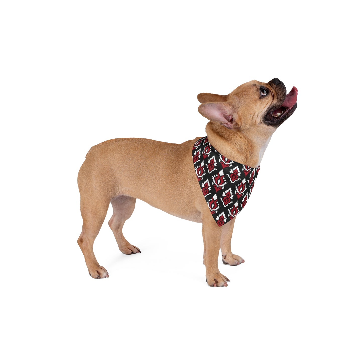 Pet Bandana | Athens, Georgia | Ikat