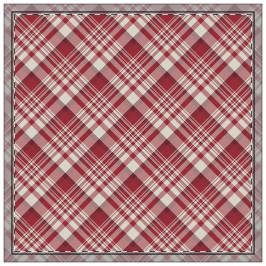 Napkin 4-set | Tuscaloosa, Alabama | Tartan