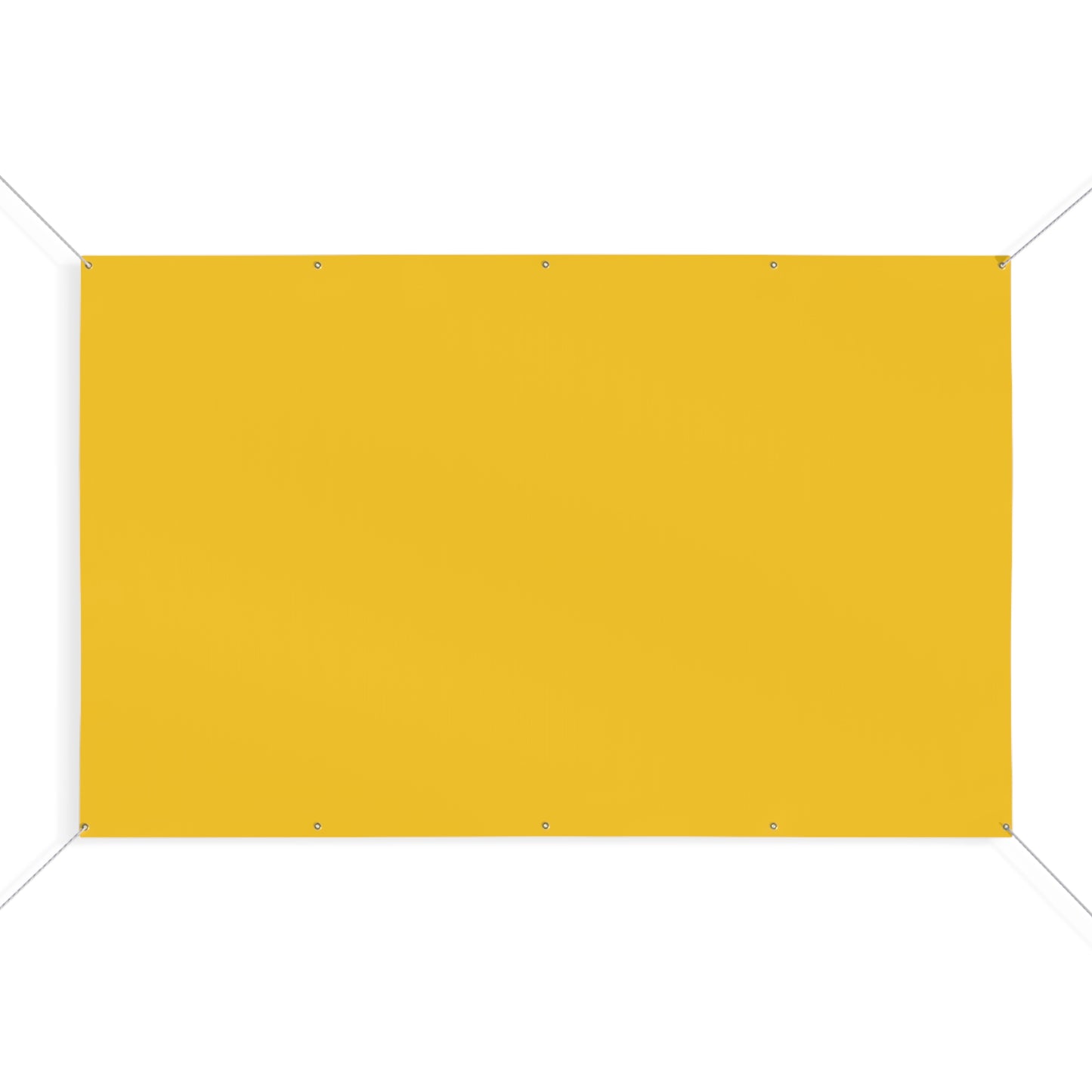 Banner | Ann Arbor, Michigan | Light