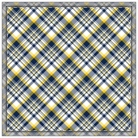 Napkins | Ann Arbor, Michigan | Tartan