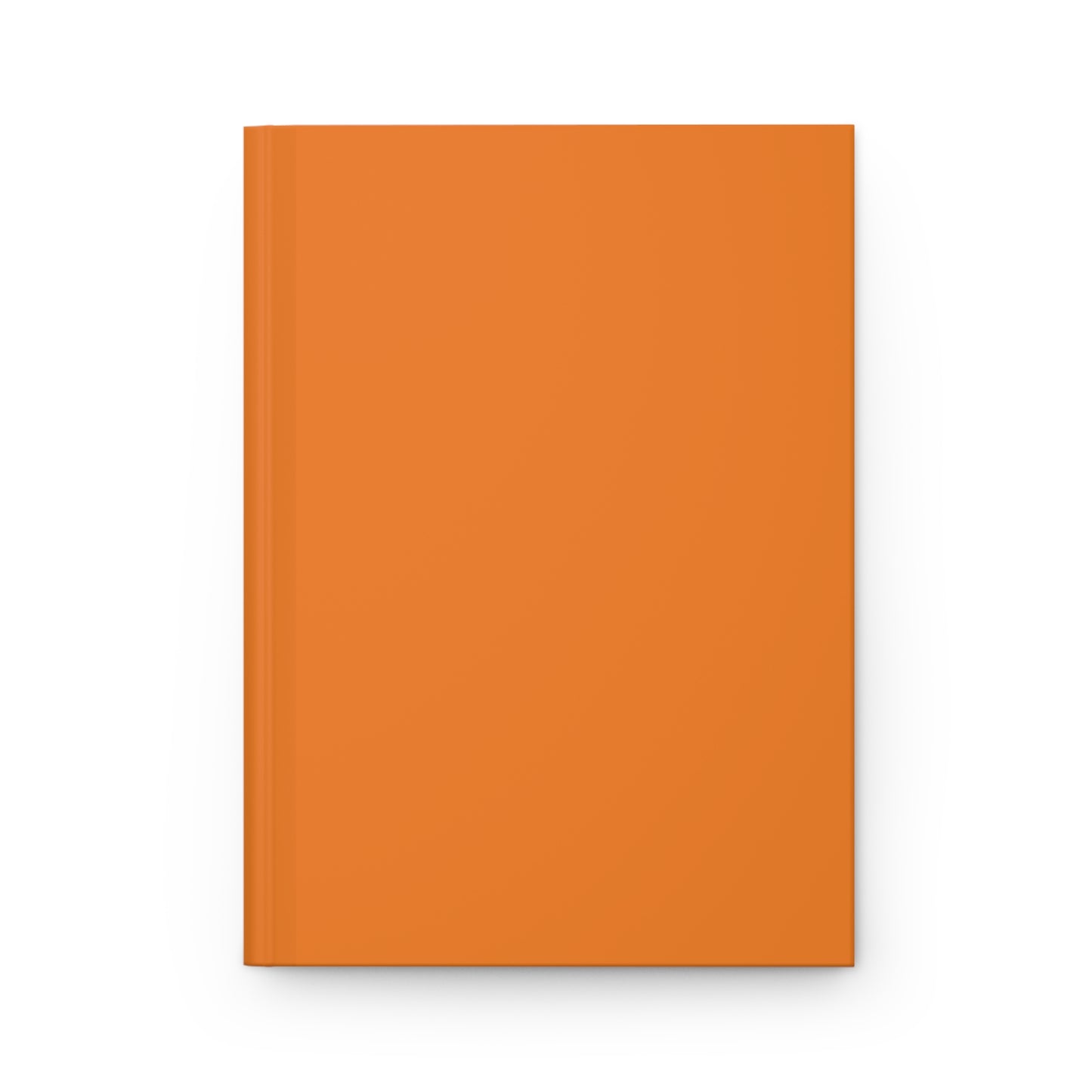 Journal | Princeton, New Jersey | Light