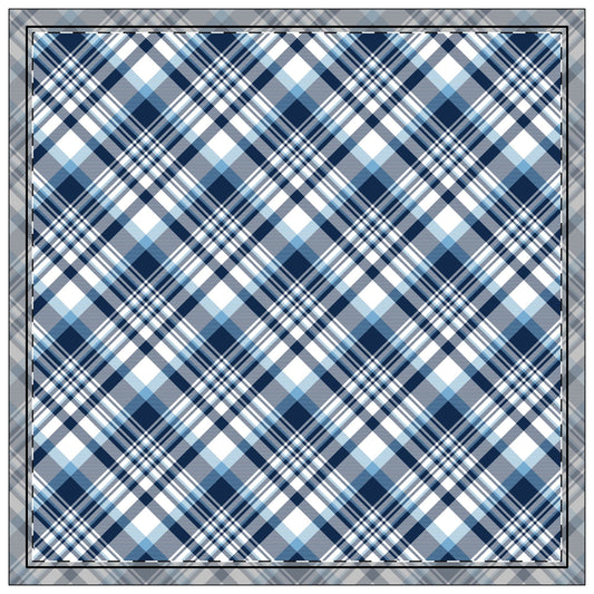 Napkins | Chapel Hill, North Carolina | Tartan