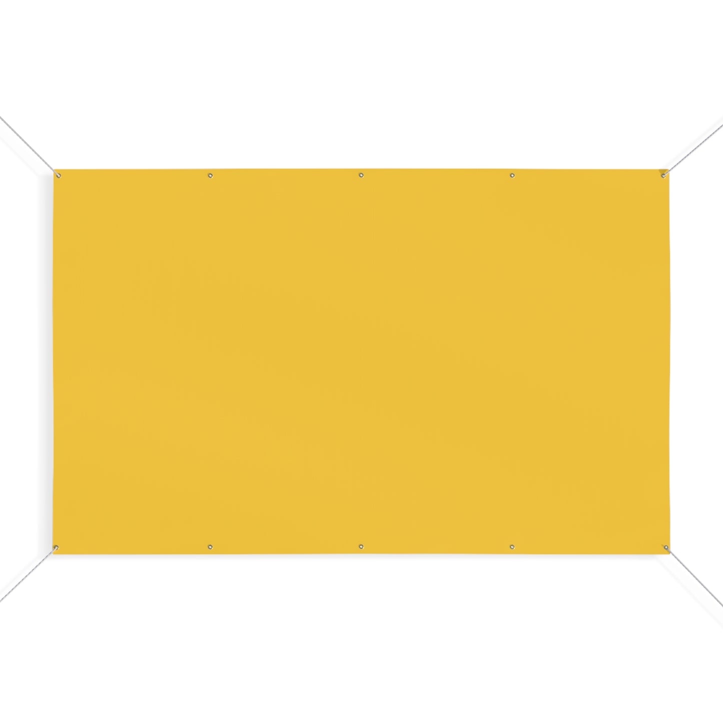 Banner | Baton Rouge, Louisiana | Light�