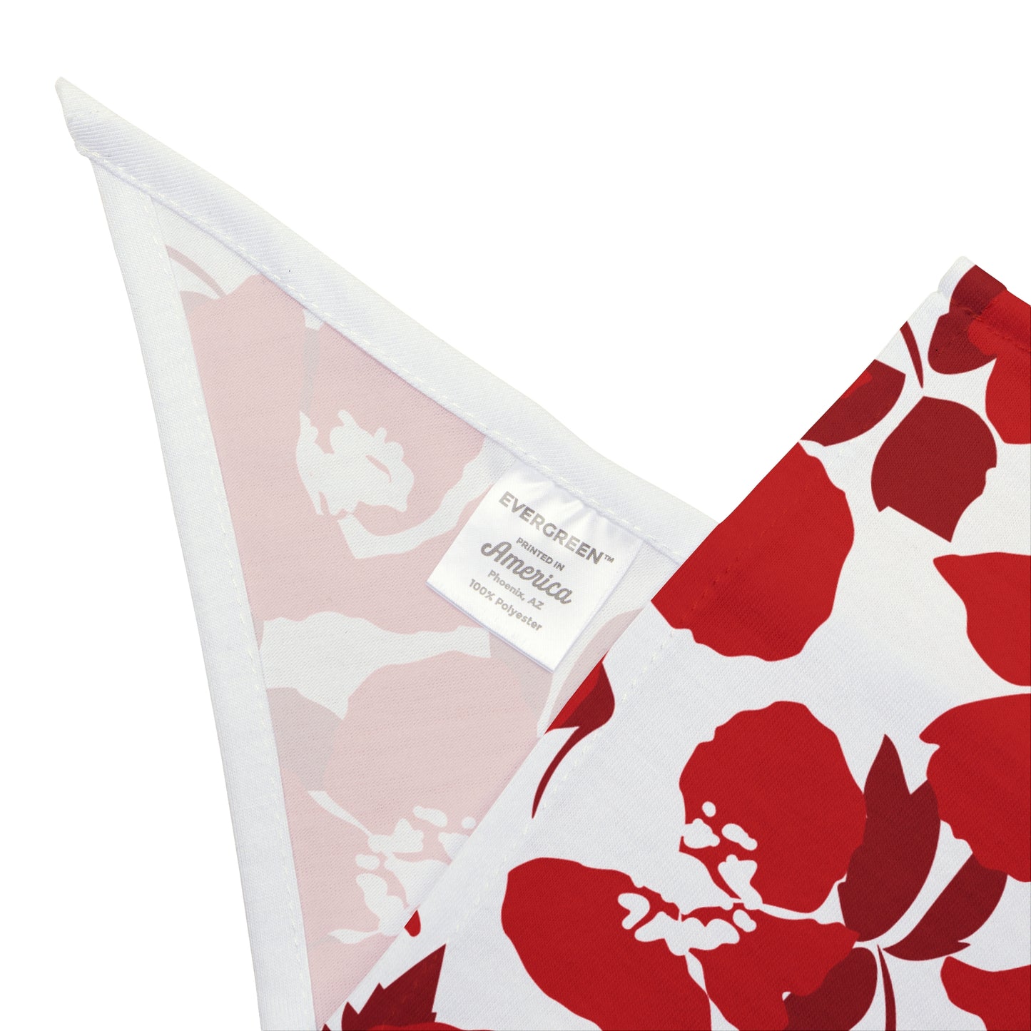 Pet Bandana | Madison, Wisconsin | Poppy