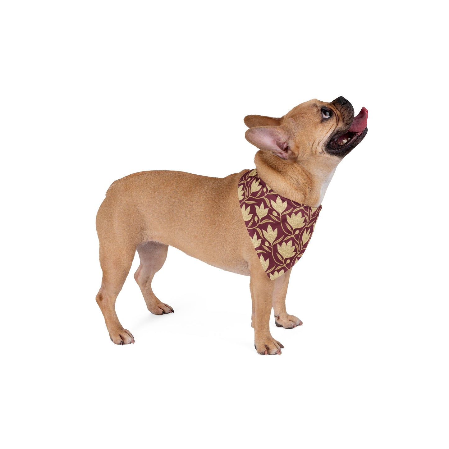 Pet Bandana | Maroon & Gold | Magnolia