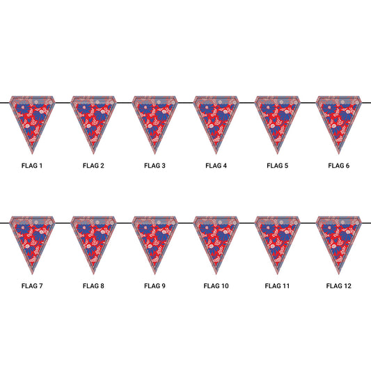 Flag Garland | Lawrence, Kansas | Bellis