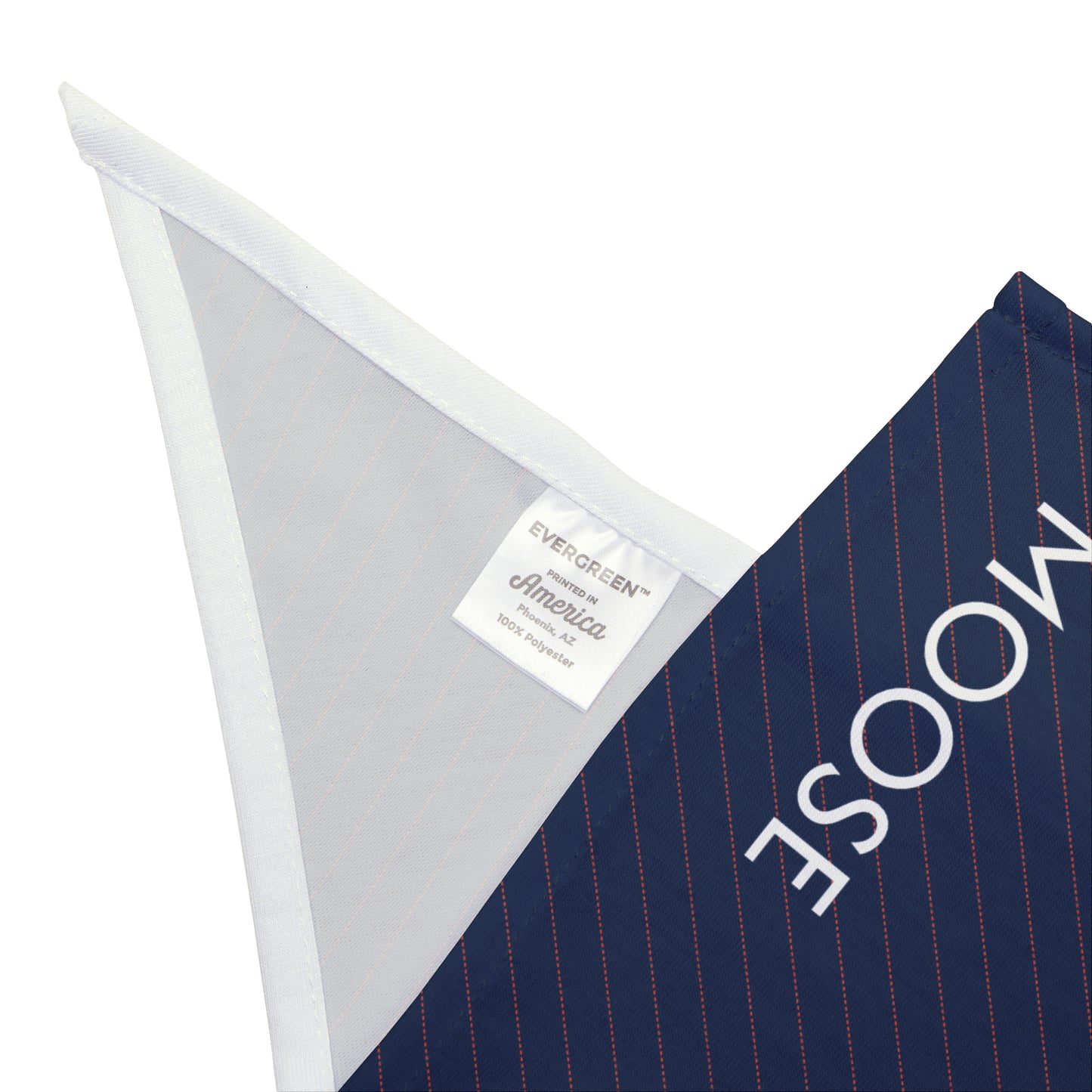 Pet Bandana- Personalized | Charlottesville, Virginia | Pinstripe