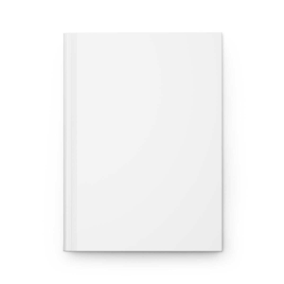 Journal | Madison, Wisconsin | Light