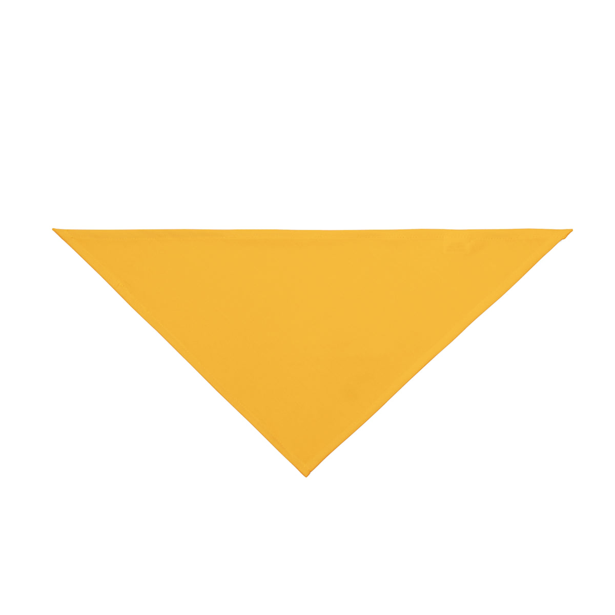 Pet Bandana | Kennesaw, Georgia | Light (Orange)