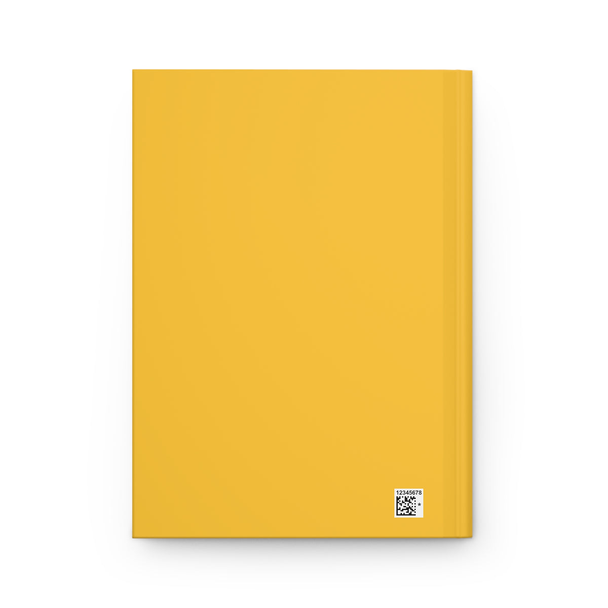Journal | Fairfax, Virginia | Light