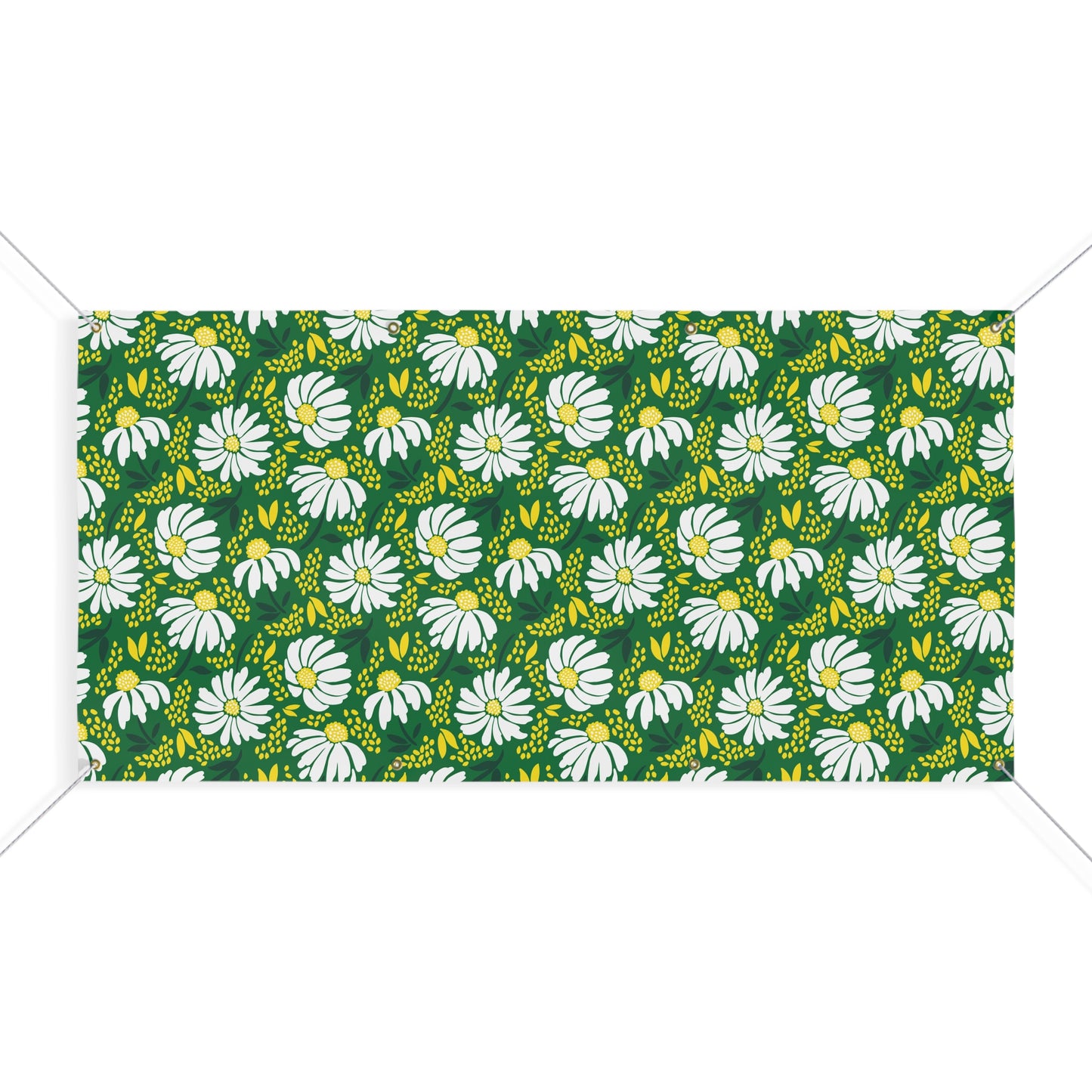 Banner | Eugene, Oregon | Bellis