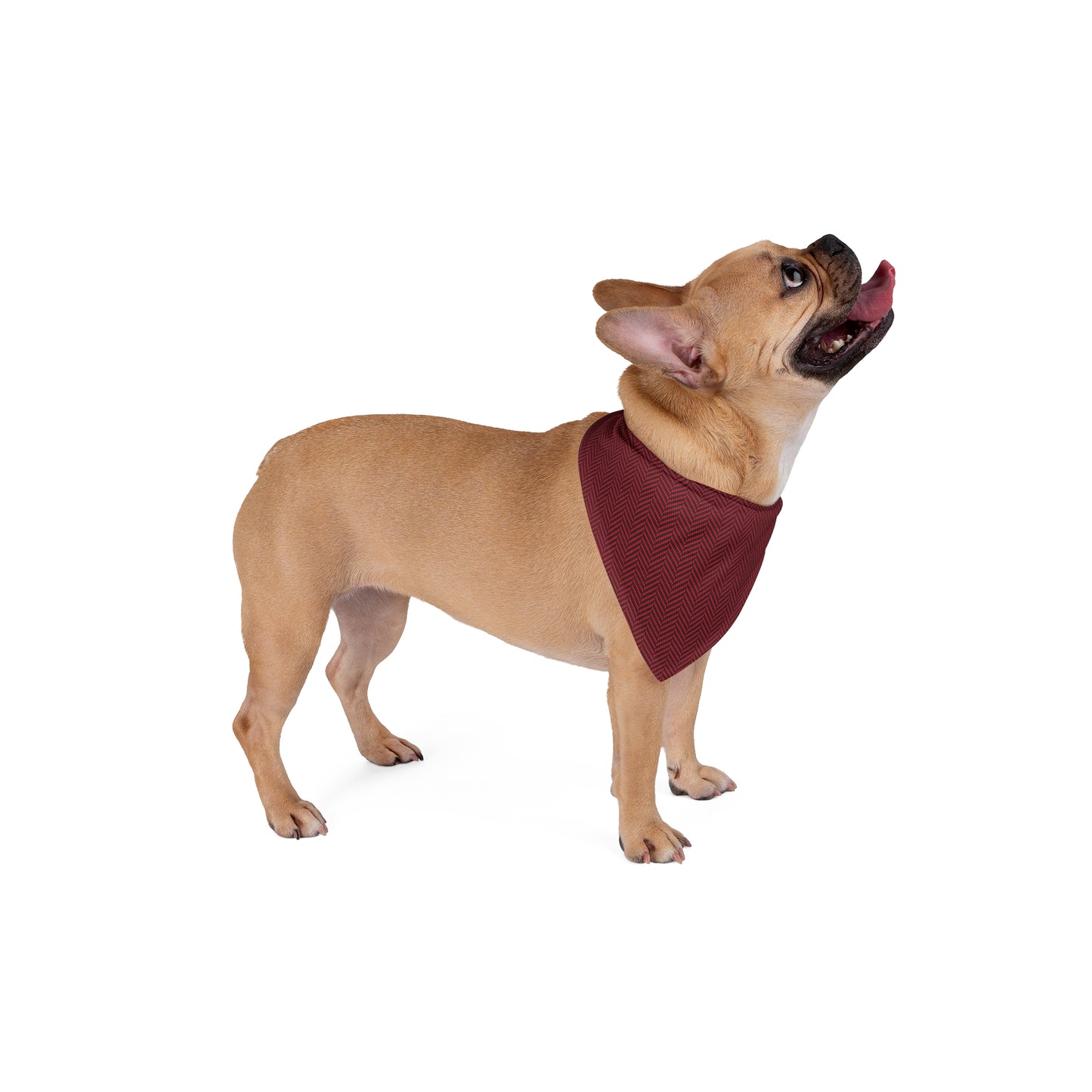 Pet Bandana | Raleigh, North Carolina | Herringbone