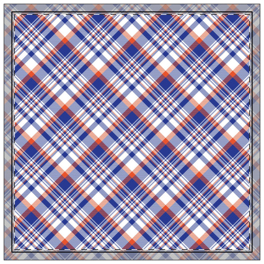 Napkin 4-set | Gainesville, Florida | Tartan