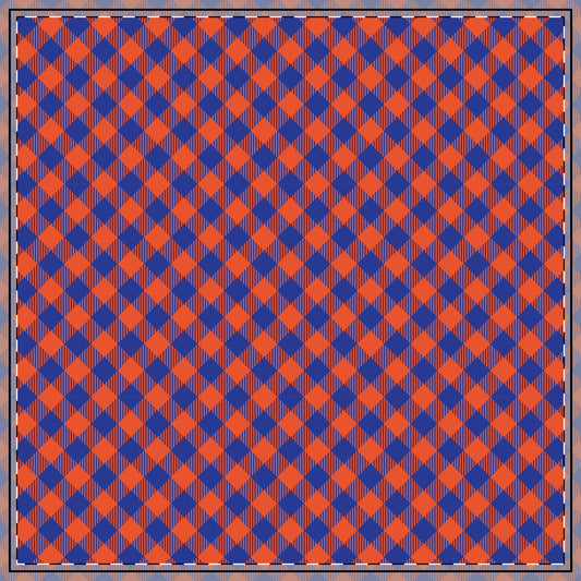 Tablecloth | Gainesville, Florida | Gingham