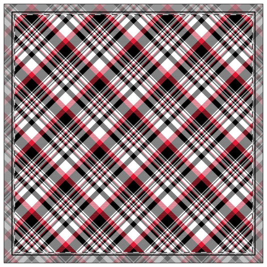 Napkins | New Brunswick, New Jersey | Tartan