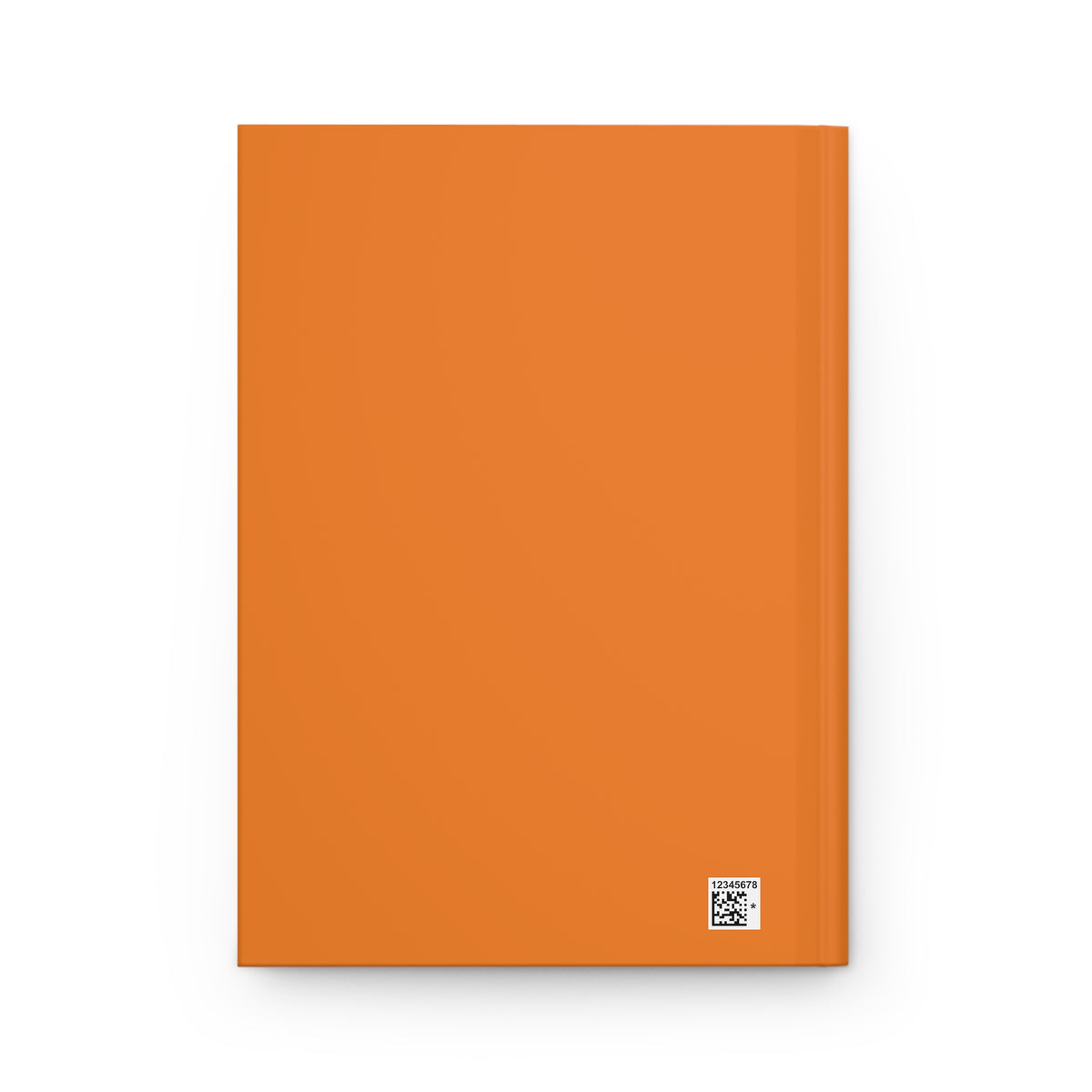Journal | Princeton, New Jersey | Light