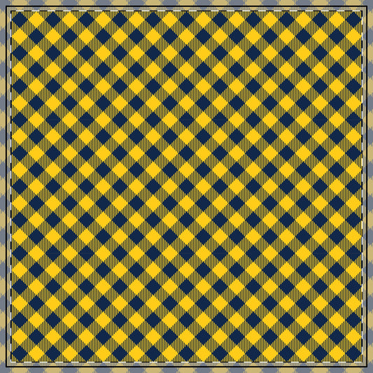 Tablecloth | Ann Arbor, Michigan | Gingham