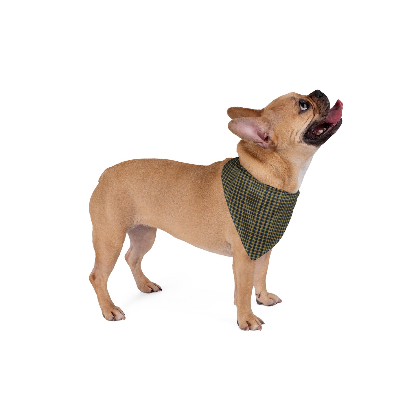 Pet Bandana | Notre Dame, Indiana | Tweed